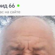 , 66 , 