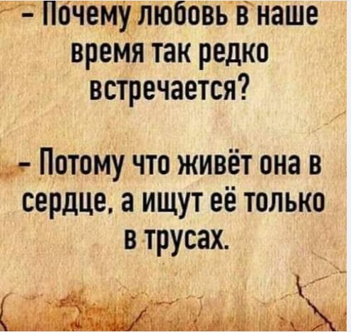 Olga - 15  2023  17:06