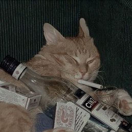 ������, �������, 25 ���