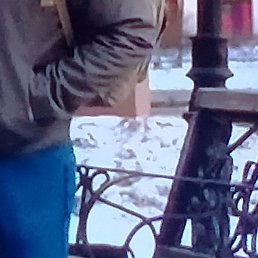 ����, ������, 37 ���