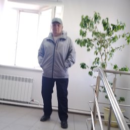 , 61 , 