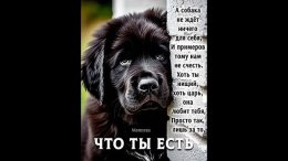 ������� � �������...