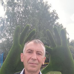 �����, 50 ���, ������