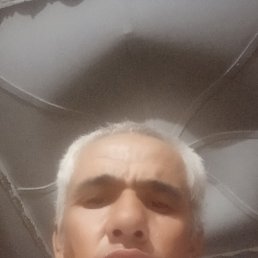 , 46, 