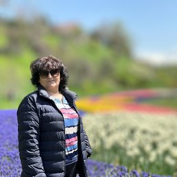 ���� ��������, ���������, 62 ���� - ��������� 22 ������ 2024