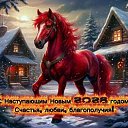 ���� Vit@, �����-��������� - ��������� 1 ������ 2026 � ������ ������ ��������