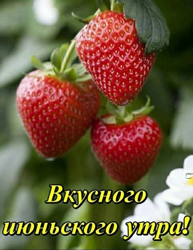   ,    . - 11  2025  23:36