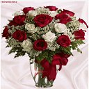 ���� Sge, ����, 63 ���� - ��������� 29 ������� 2023 � ������ ���� ����������