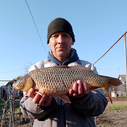 , 45, 