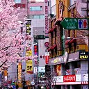 ���� ���, �����-���������, 20 ��� - ��������� 1 ������� 2025 � ������ ���� ����������