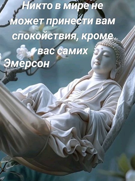  ! - 25  2025  22:41