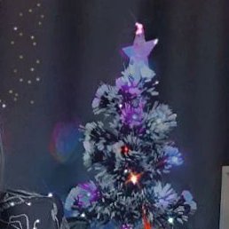 �����, �����, 59 ���