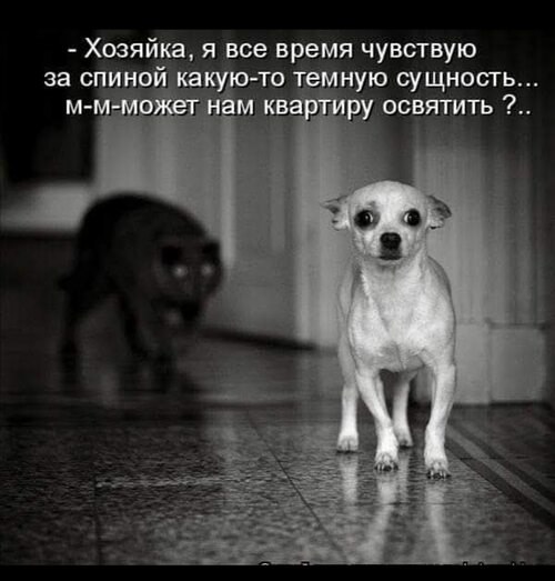   ! - 1  2025  07:54
