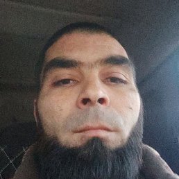 ������, ���������, 41 ���