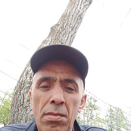 , 45, 