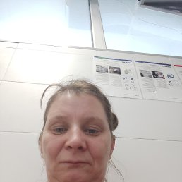 ����, 42 ����, ������