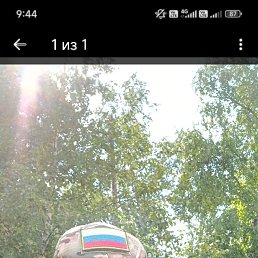 , 40 , 
