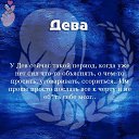 ���� Al, ������, 43 ���� - ��������� 6 ������ 2026