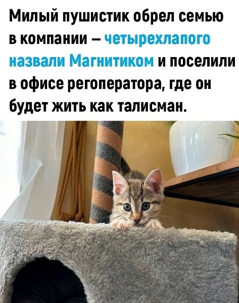 -   - 3
