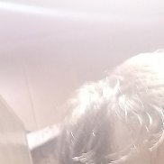 ������, 39 ���, ������