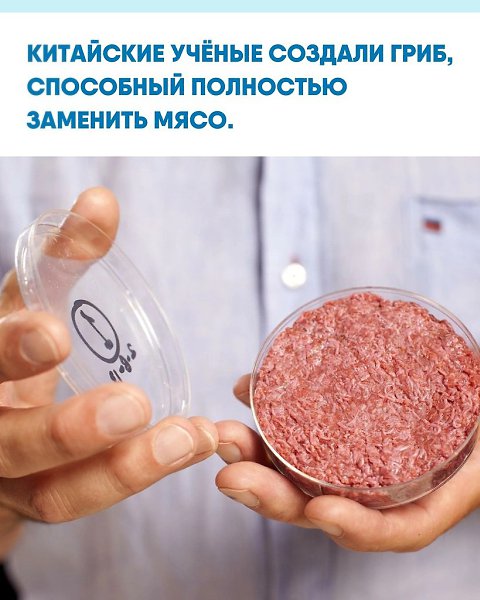 �cc�e�o�a�e�� �o������po�a�� ����a��� �p�� Fusarium v�n�natum, �� �o�opo�o �e�a�� ���ec���� ...