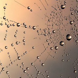 ���� ������, �����������, 47 ��� - ��������� 19 ������ 2023