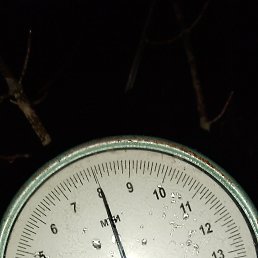 ���� �����, ���, 64 ���� - ��������� 27 ������ 2024