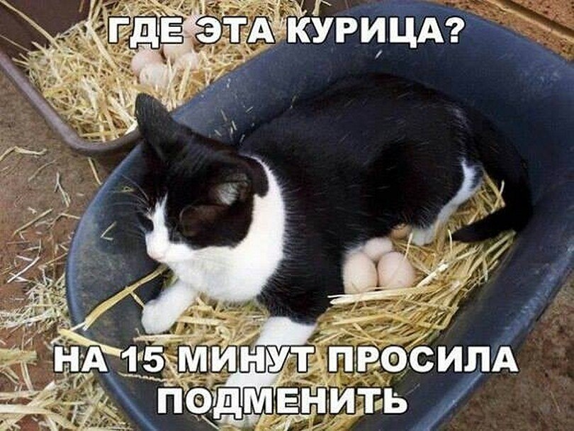? ,  ! - 3  2025  12:33