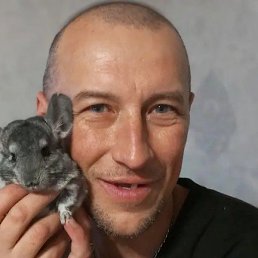 �������, ����������, 43 ����