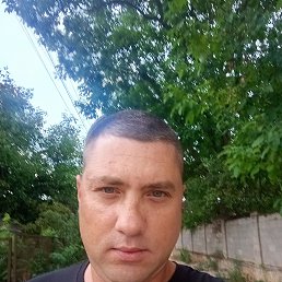 , 37, 