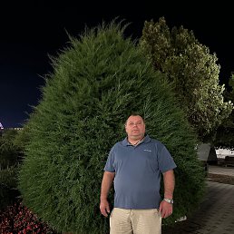  , 53,  
