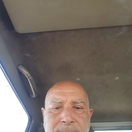 , 53, 