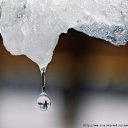 ���� �������, �����-��������� - ��������� 27 ������ 2025 � ������ ������ �����