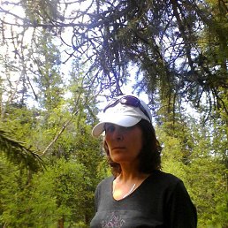 ������, ������