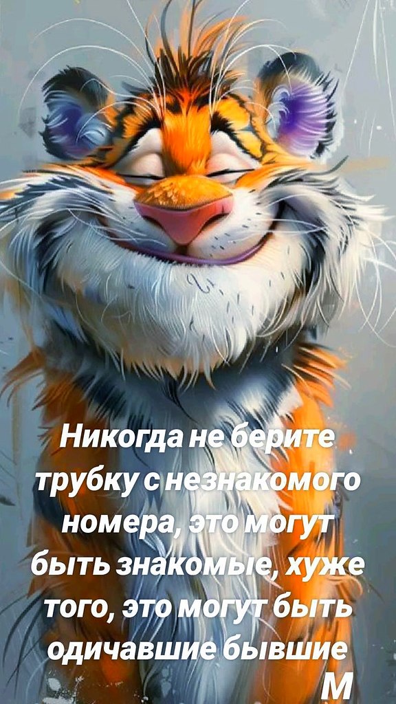   - 13  2024  01:34