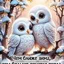  Tanyaik,  -  19  2023    
