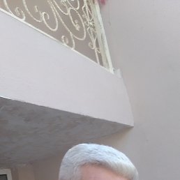 , 38, 