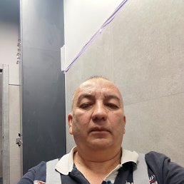 �����, 53 ����, ���������