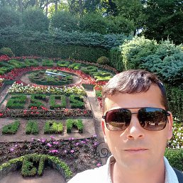 , 41 , 