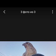, 57 , 