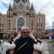 �����, 49 ���, �����������