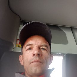 , 46, 