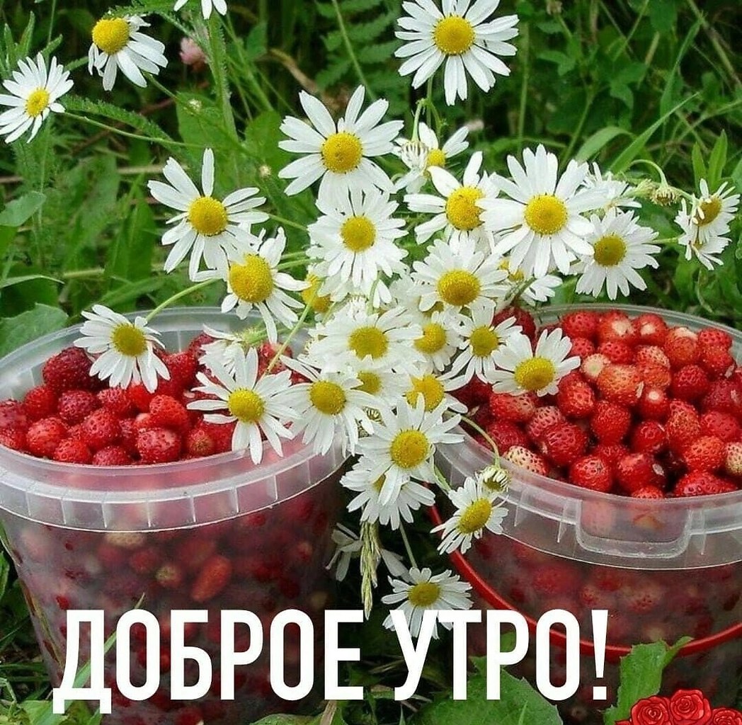   ,    . - 22  2025  06:05
