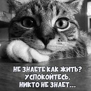 ������, 18 ���, �����