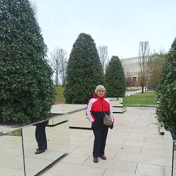 , 57, 