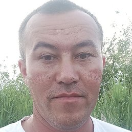 �������� ��������������, �����-���������, 44 ����