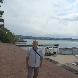 �������, �������, 66 ���