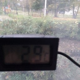 ������ ��������, �����, 52 ����