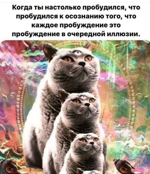 �� ����� ������! - 10 ���� 2026 � 17:48