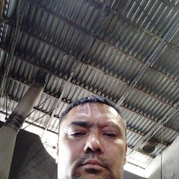 , 42, 